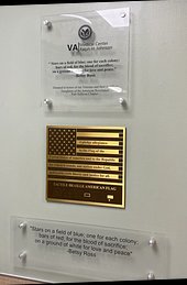 edit-American Braille Flag Project